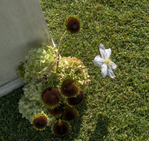 Stylists Marta Sandri Studio