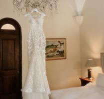 Content Creators DONATELLO