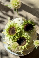 Cakes & Catering María Amaría