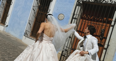 Content Creators DONATELLO