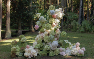 Florists BY.MAG.NOLIA