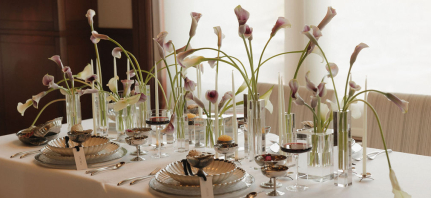 Planners The Coda's Collective