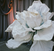 Photographers Tom Coburn