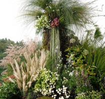 Florists DADA Island