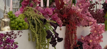 Florists DADA Island