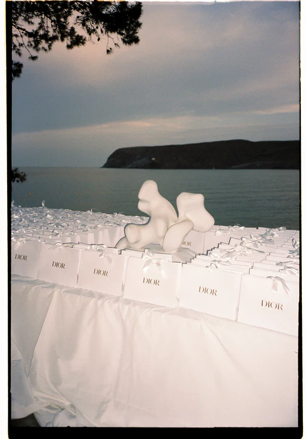 Dias De Vino y Rosas, wedding photographers in Spain, Europe — portfolio photo 3