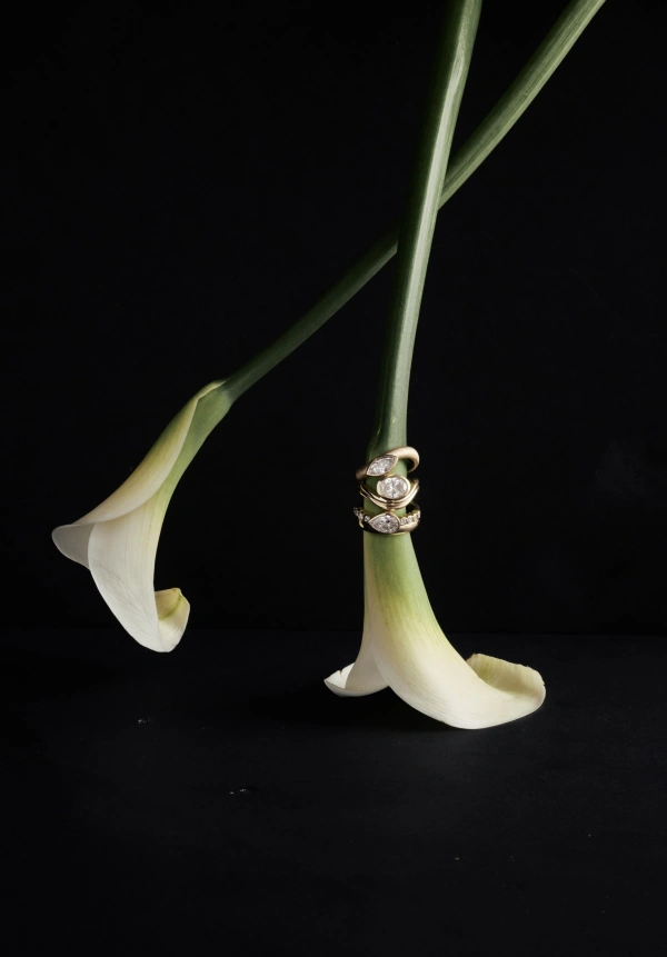 Class A Jewellers, wedding fine jewelry in Adelaide, Australia — portfolio photo 2