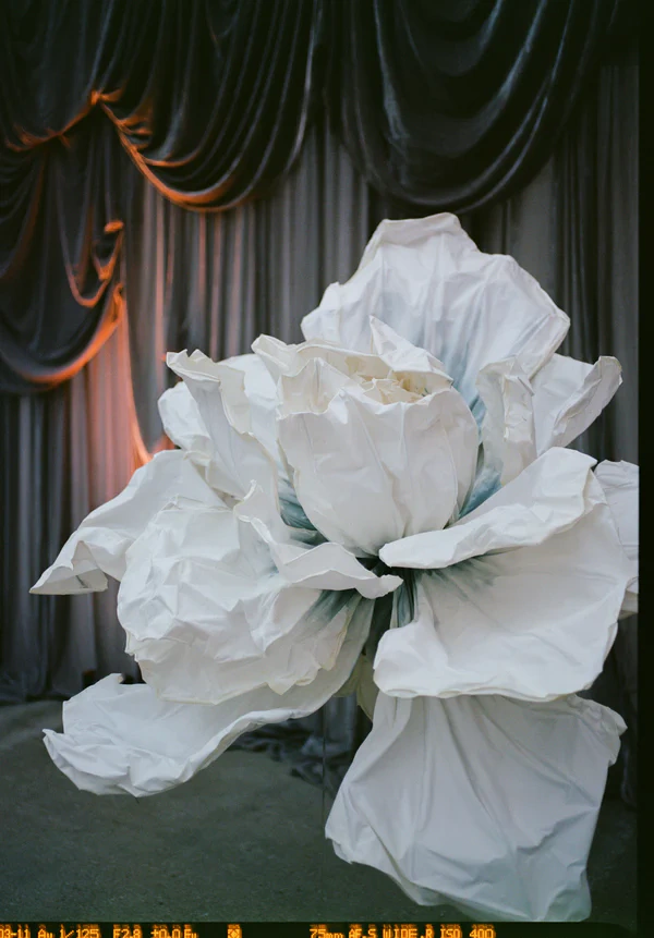 Tom Coburn, wedding photographers in Sydney, Australia — portfolio photo 6