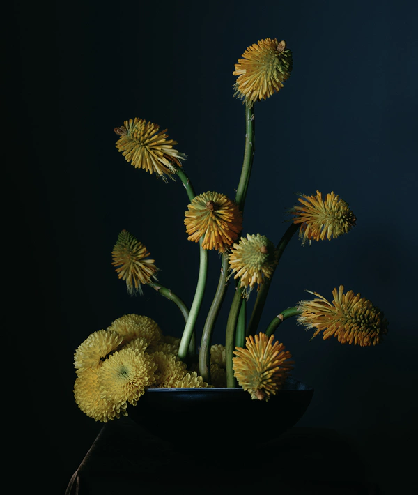 Branco Prata, wedding florists in Portugal, Europe