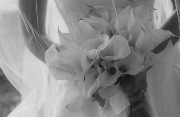 Kelly Mour, wedding photographers in Colorado, USA — portfolio photo 5