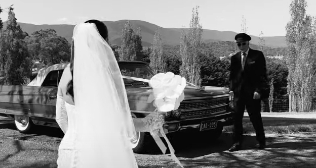 Content Creators WED SOCIAL