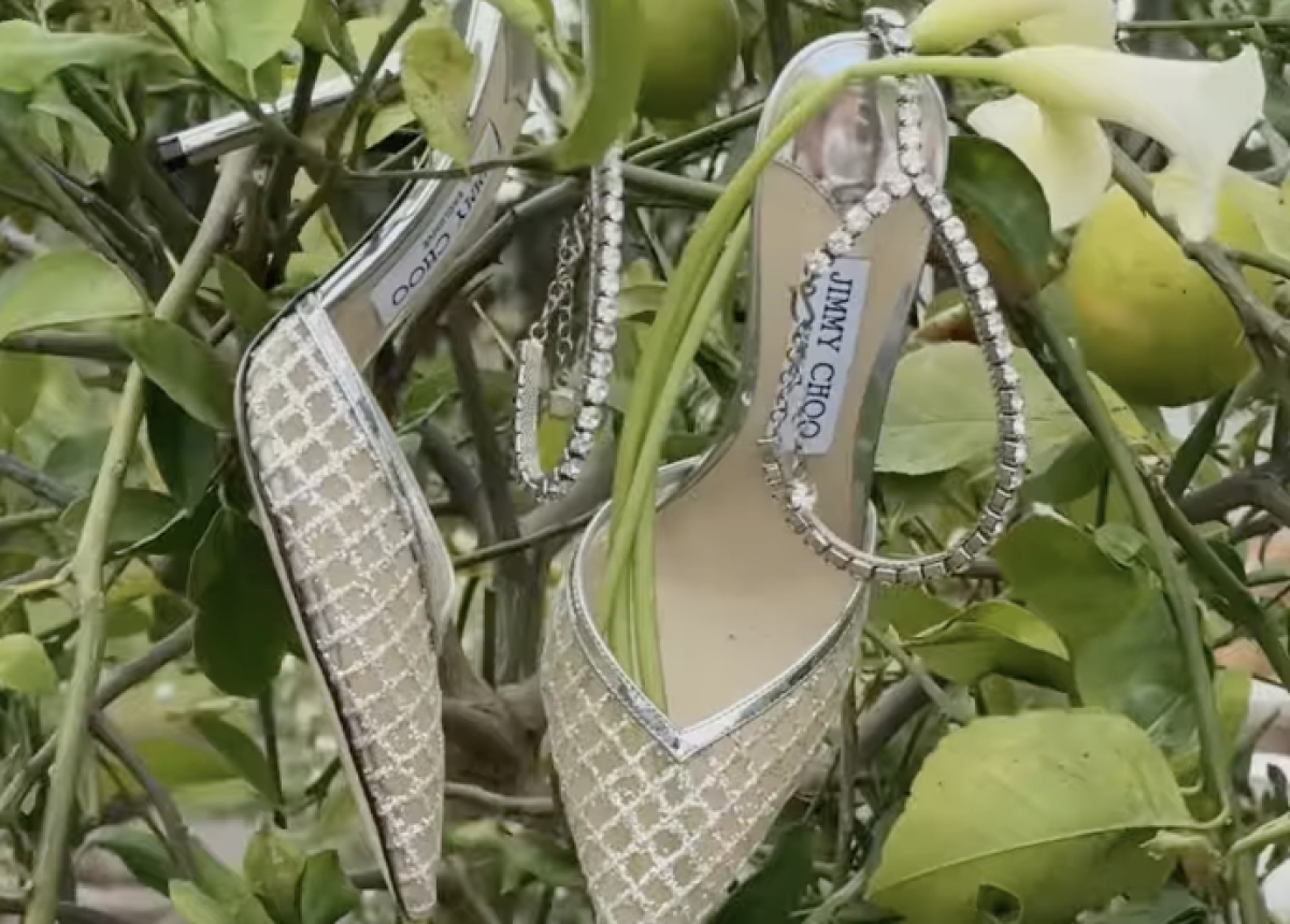 Content Creators Case Creative Co