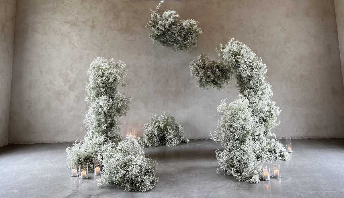 Content Creators Sarah Davoli Studio