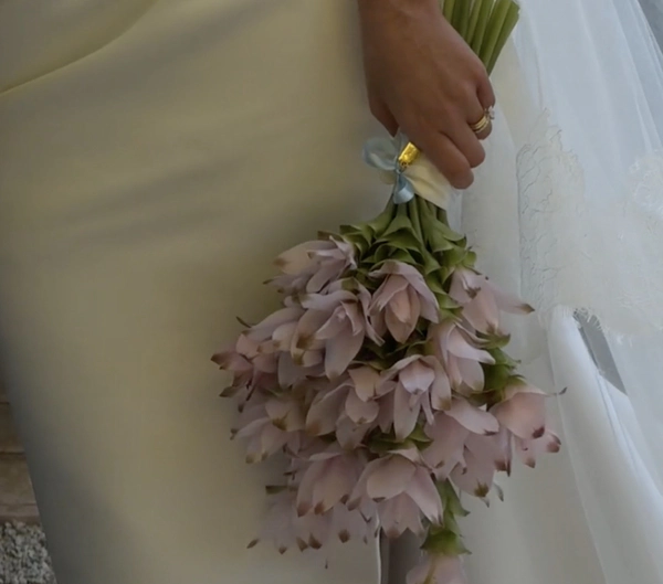 Veiled Socials, wedding content creators in Newcastle, Australia — showreel preview