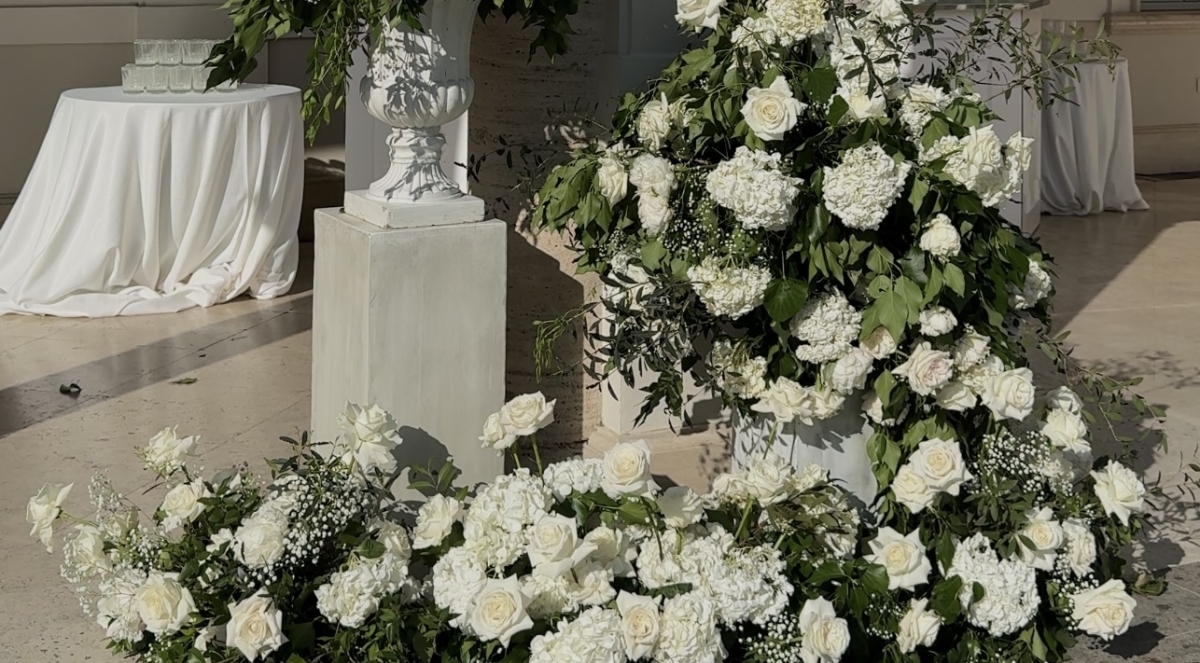 Content Creators WED SOCIAL