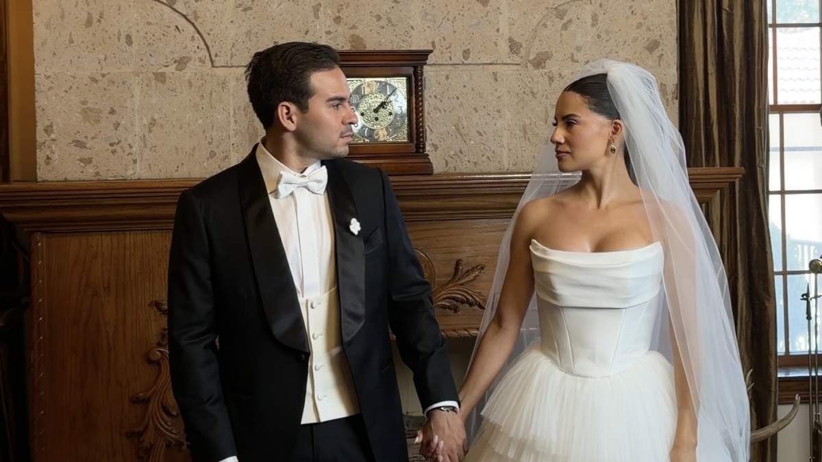 Content Creators DONATELLO