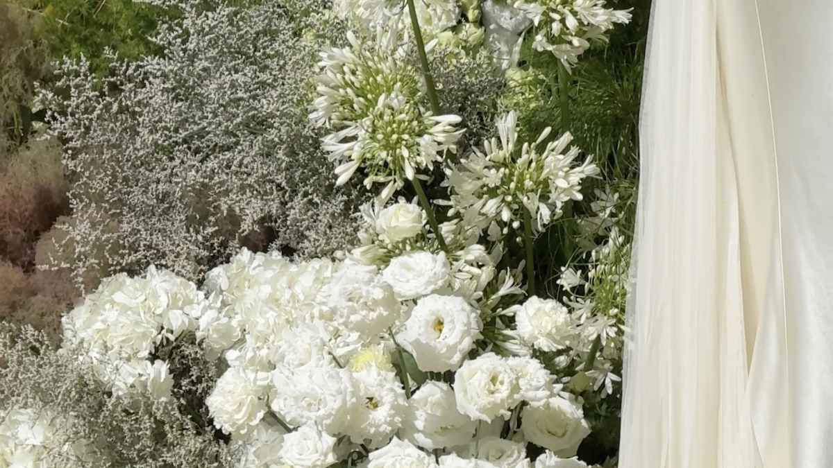 Content Creators Madeline Anne