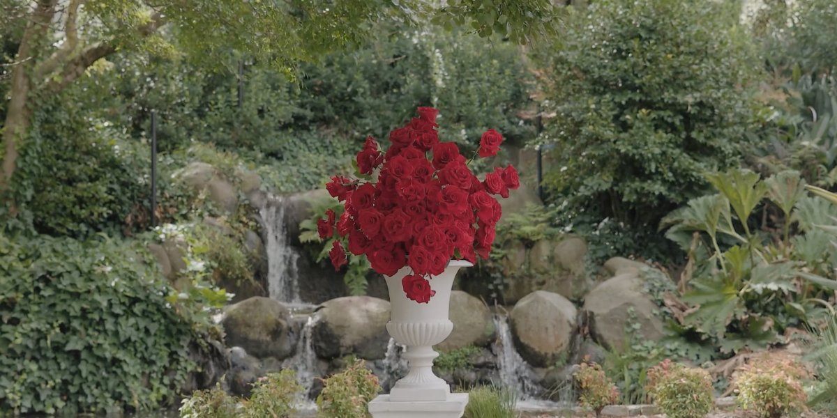 Videographers Full Hearts Films