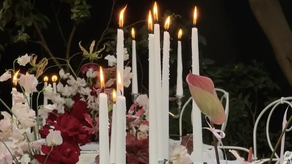 Madeline Anne, wedding content creators in Sydney, Australia — showreel preview