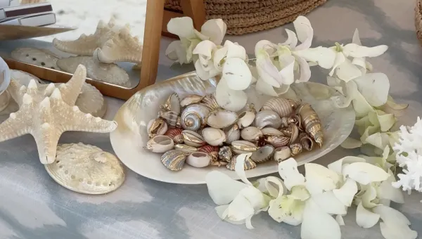 Content for Brides, wedding content creators in United Kingdom — showreel preview
