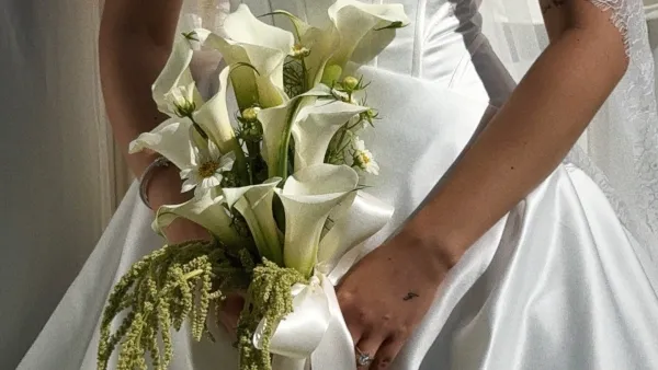 Happily Ever Socials, wedding content creators in New York, USA — showreel preview