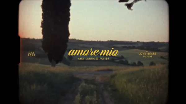 Love Bears, wedding photographers in New York, USA — showreel preview